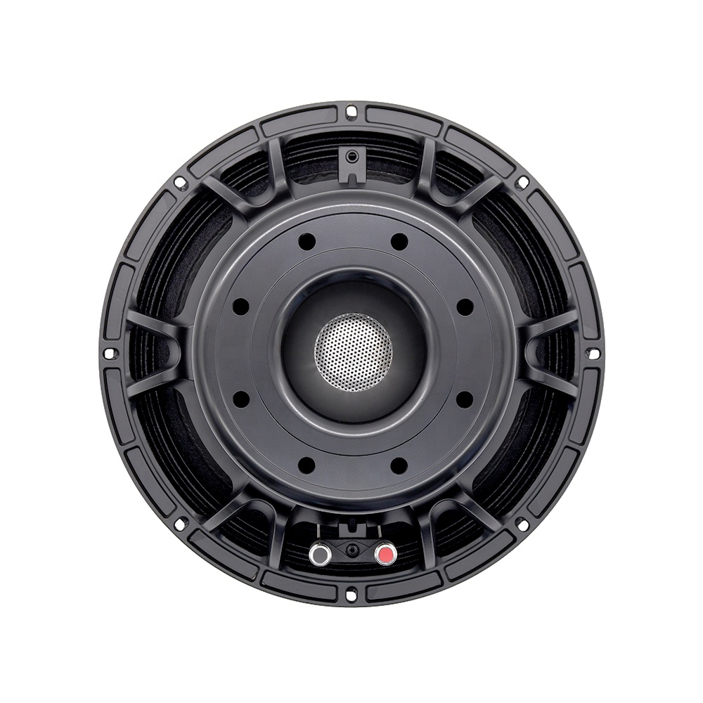 Speakers - Profesjonalny sprzęt audio 12DS, głośnik 12-calowy,