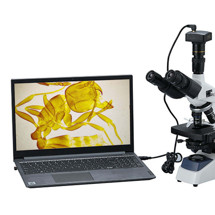 Cyfrowy mikroskop biologiczny  – Cameras recenzja i cena
